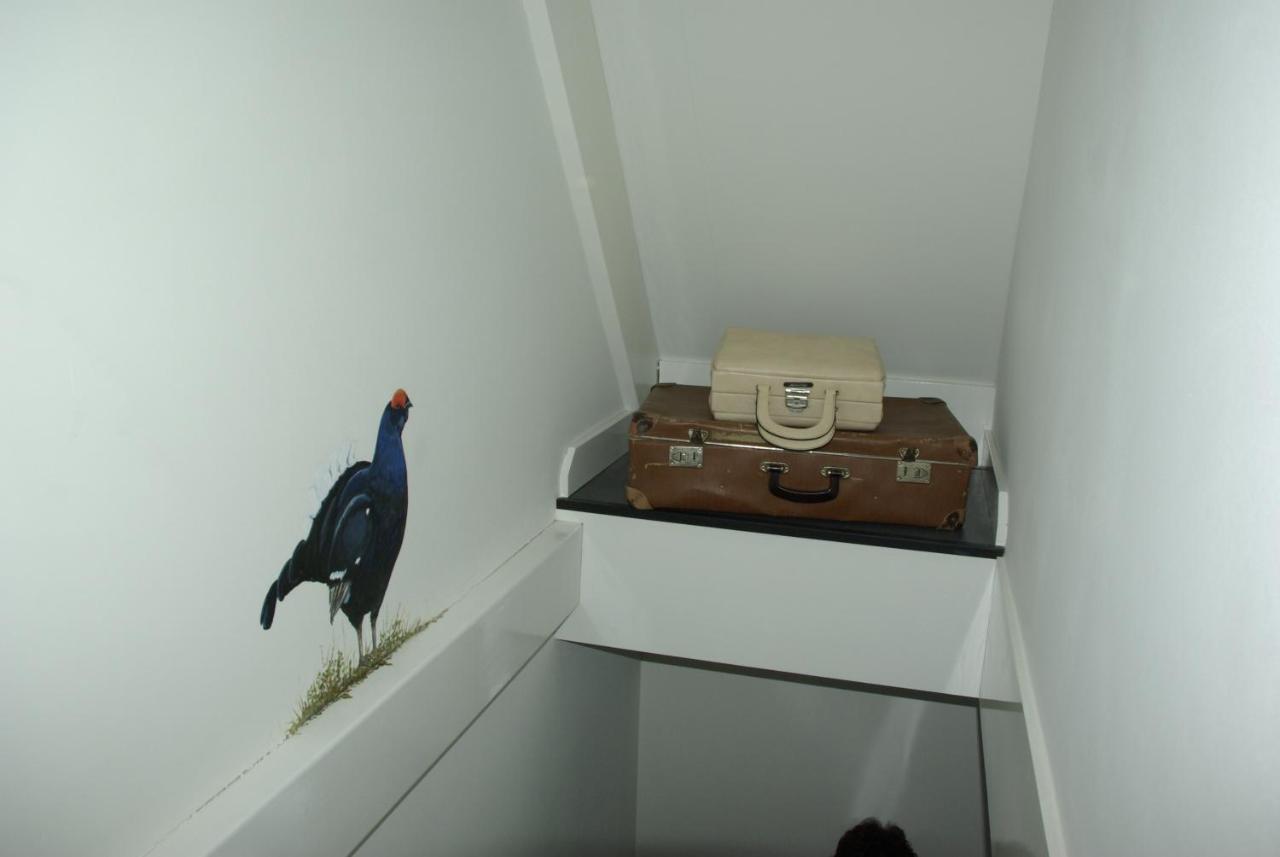 De Geitenmeijer Bed and Breakfast Holten Esterno foto
